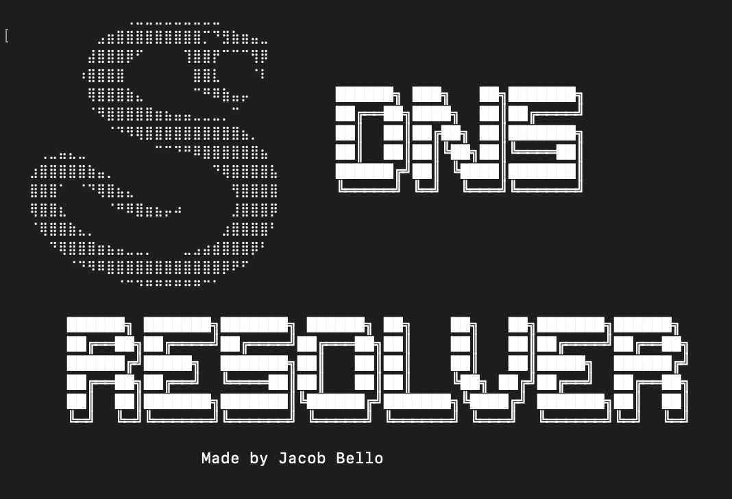 DNS Resolver - Python Tool